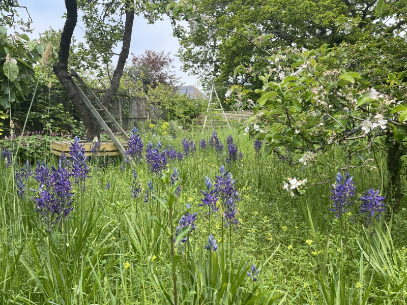 Whitstable Joy Lane Gardens